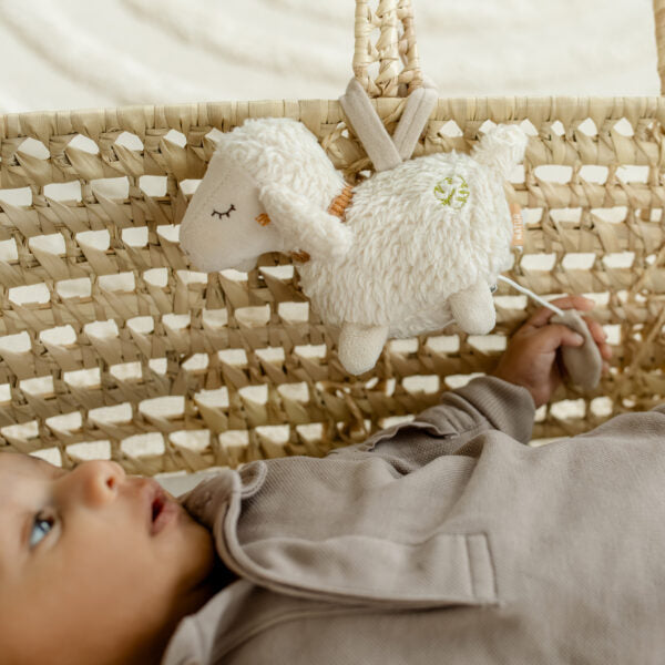 FehnNATUR - Mini Musical Sheep