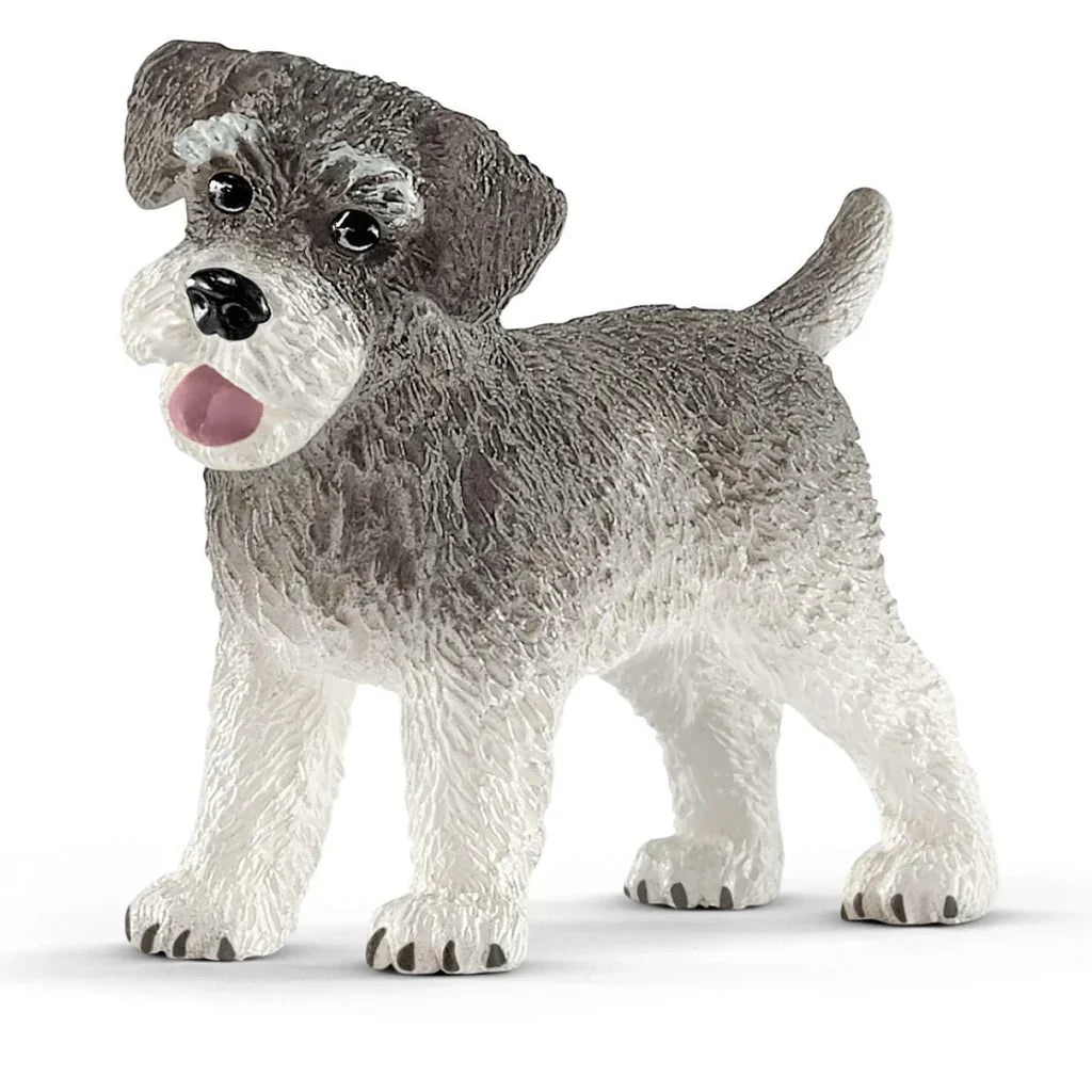 Schleich - Miniature Schnauzer SC13892