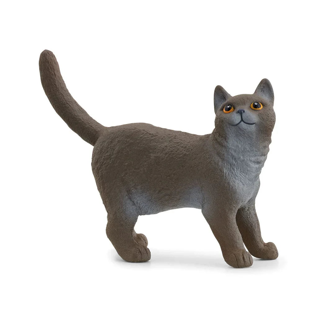Schleich - British Shorthair Cat SC13973