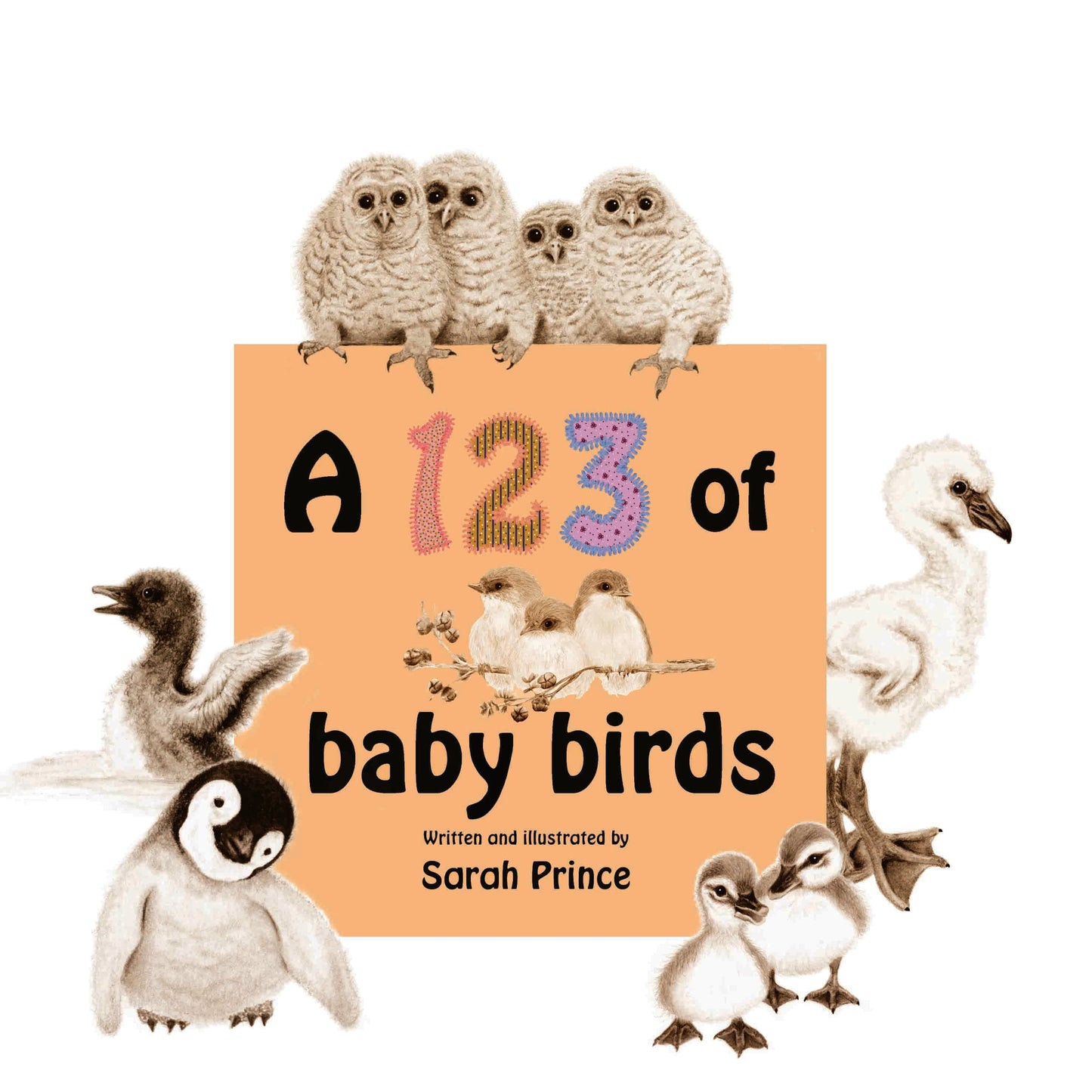 A 123 of Baby Birds