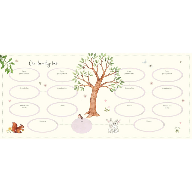 Baby's First Year - Nina Stajner