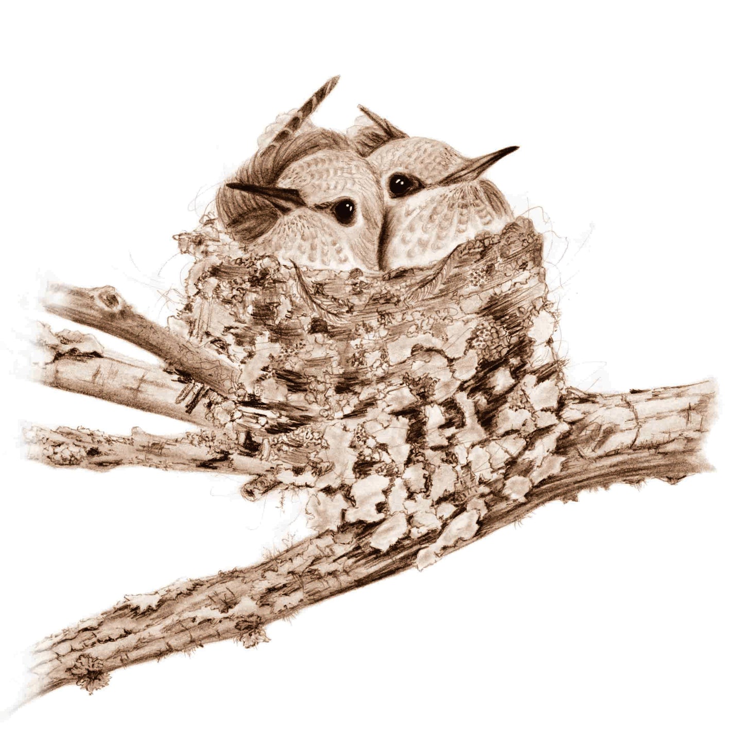 A 123 of Baby Birds