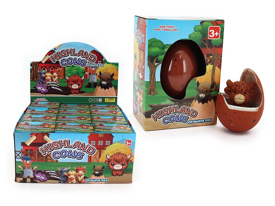 Growing Highland Cow In Egg