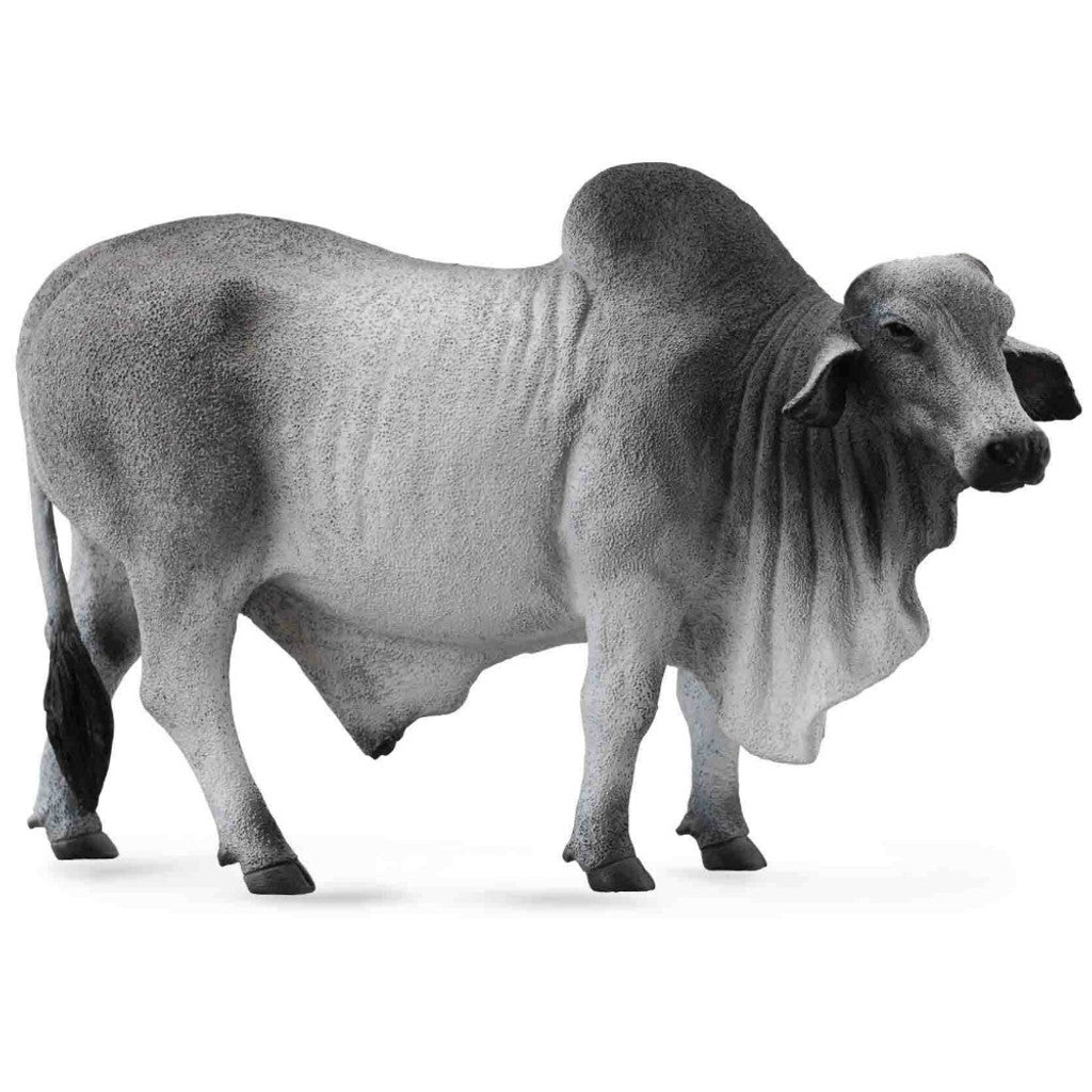 CollectA - Brahman Bull Grey