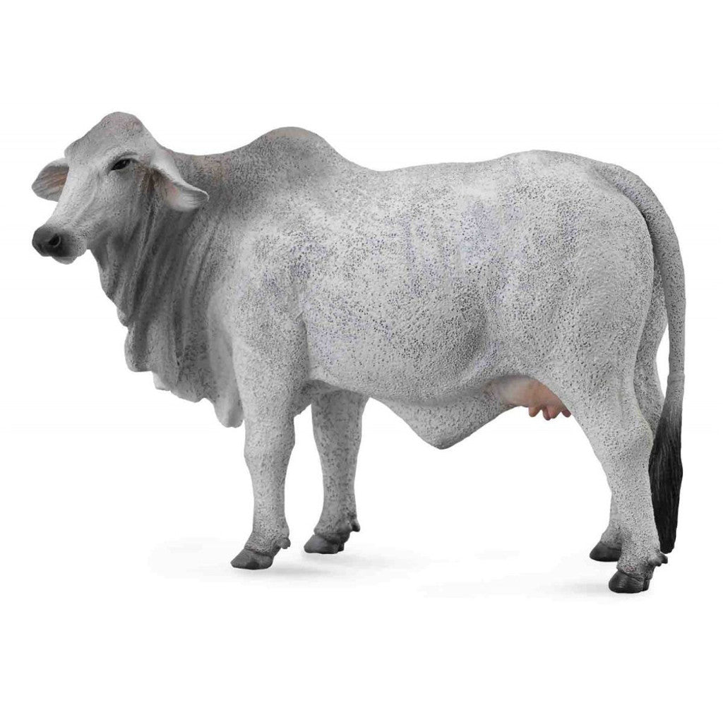 CollectA - Brahman Cow Grey