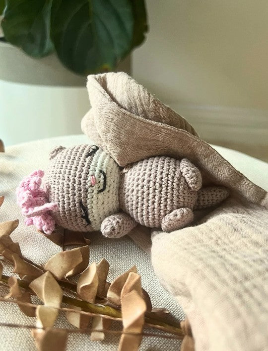 Eyvie Rose - Crochet Companion