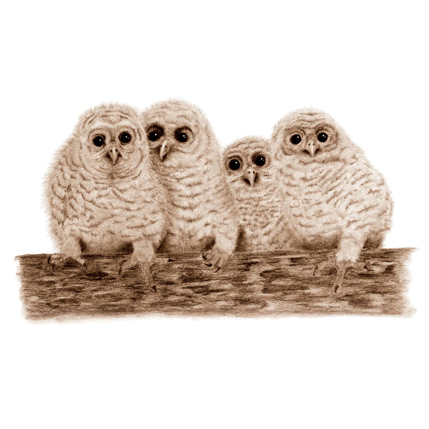A 123 of Baby Birds