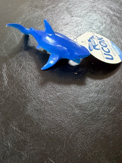 Individual Animals - Sea Animals
