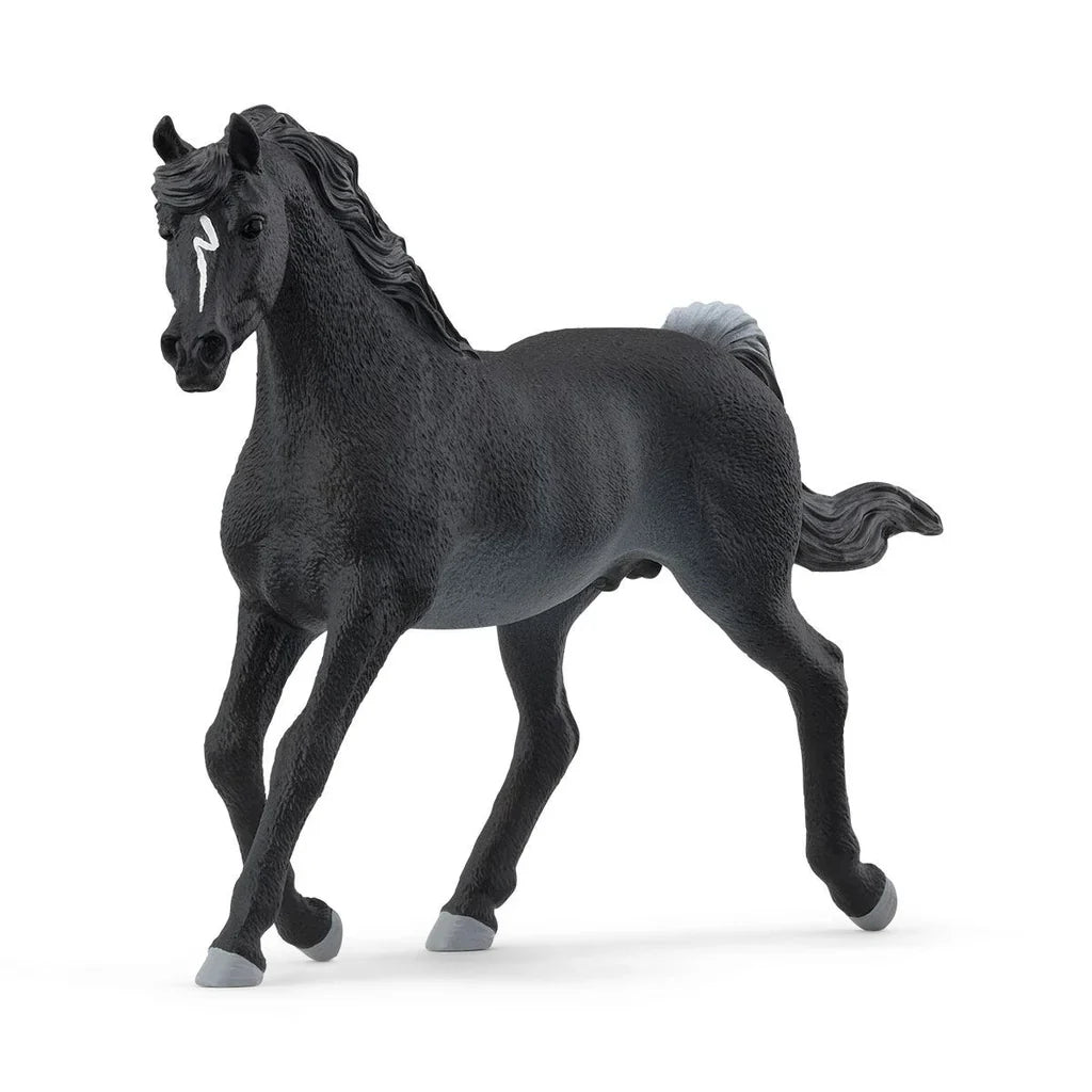Schleich - Arabian Stallion 13981