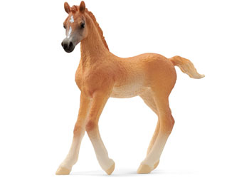 Schleich - Arabian Foal 13984