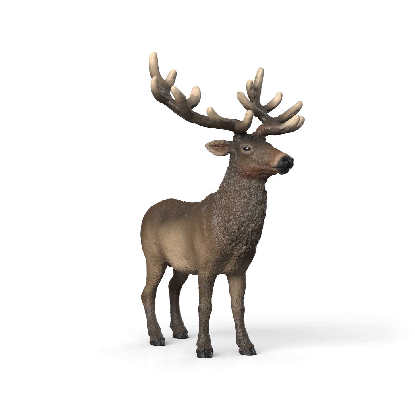 Schleich - Elk 14992