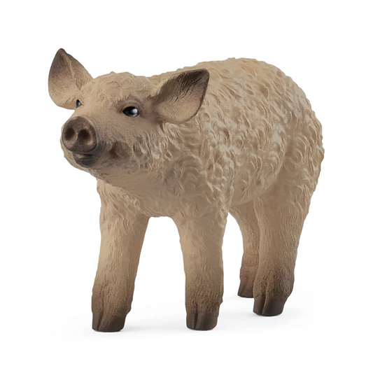 Schleich - Mangalica Piglet 14893