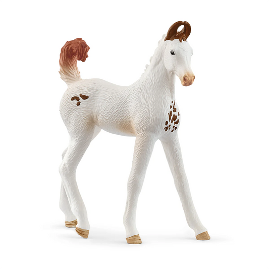 Schleich - Marwari Foal 14896