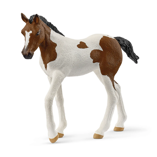 Schleich - Paint Horse Foal 14899
