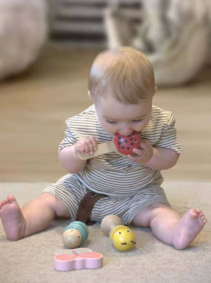 Toyslink - Wooden Happy Spring Animals Musical Instruments Set