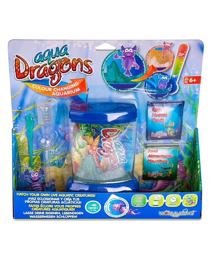 Aqua Dragons - Colour Changing Box Kit