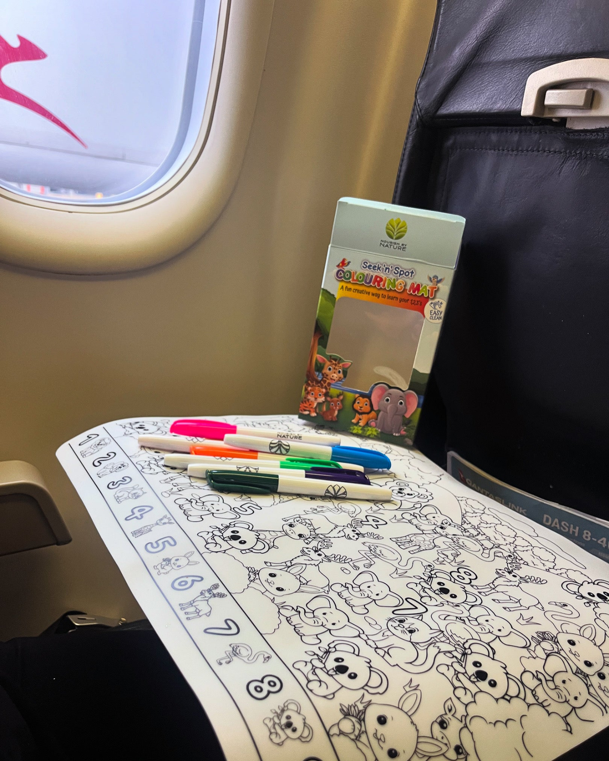 Nourish By Nature - Reusable Colouring Mat - Dinosaur Seek & Spot - A3 Silicone