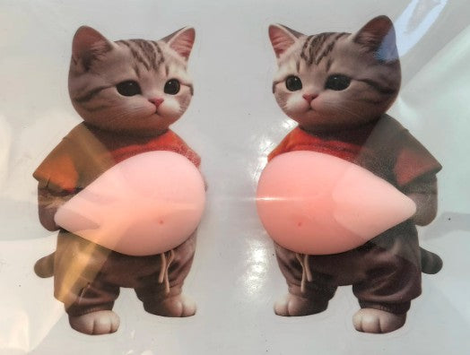 Sensory Reusable Sticker - Silicon Fat belly