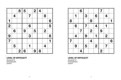 Large Print Sudoku Aqua