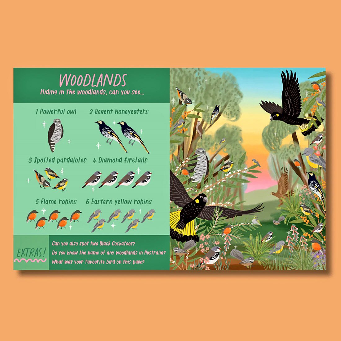 Search and Find - Australian Bird