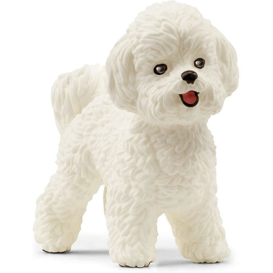 Schleich - Bichon Frise SC13963