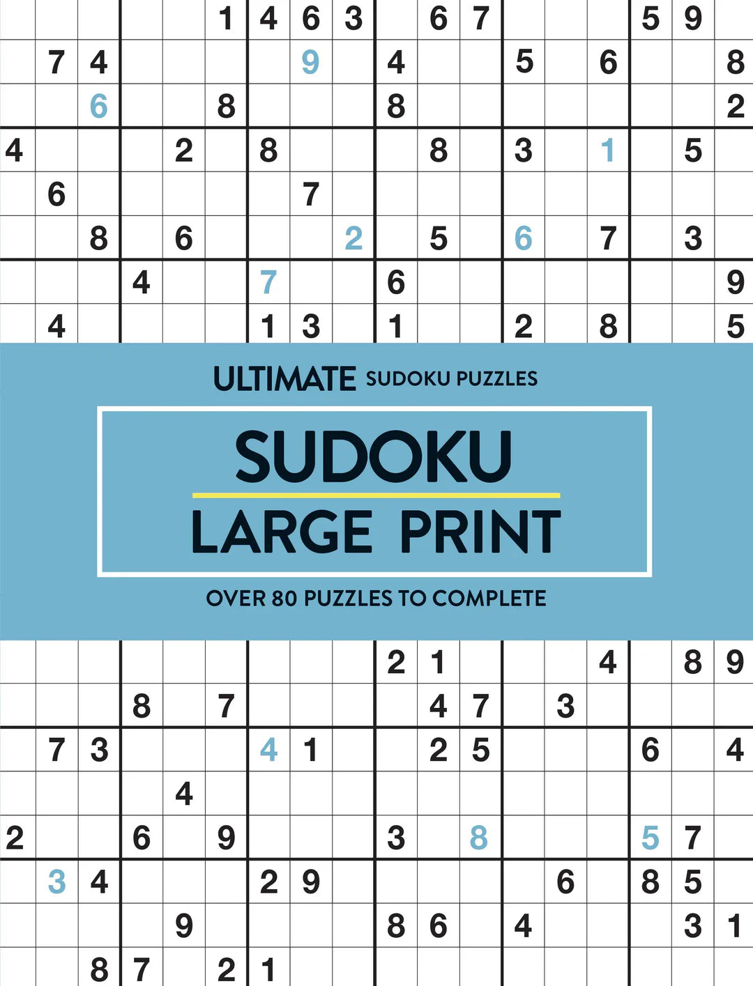 Large Print Sudoku Aqua