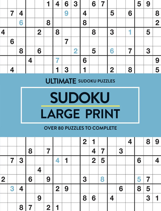 Large Print Sudoku Aqua