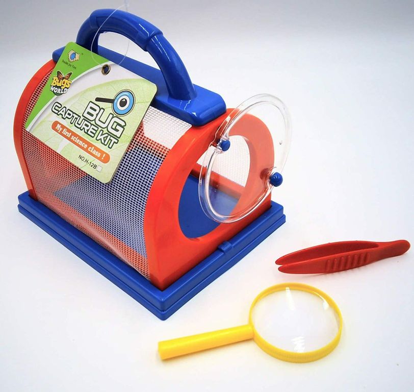 Bug Capture Kit – Peekaboo Kidz Clare
