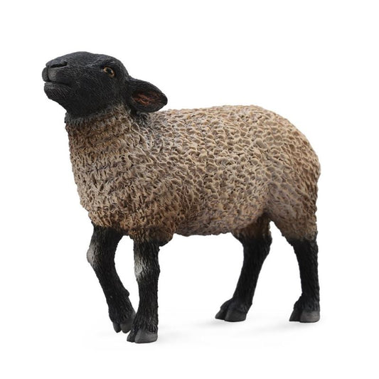 CollectA - Sheep Suffolk