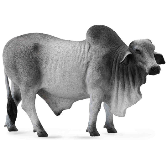 CollectA - Brahman Bull Grey