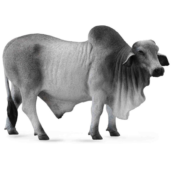 COLLECTA - Brahman Bull Grey