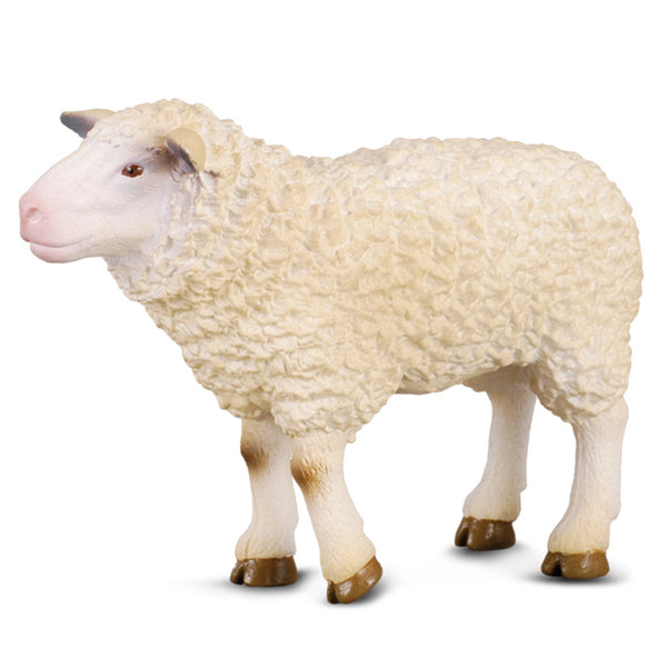 COLLECTA - Sheep