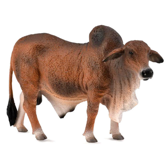 CollectA - Red Brahman Bull