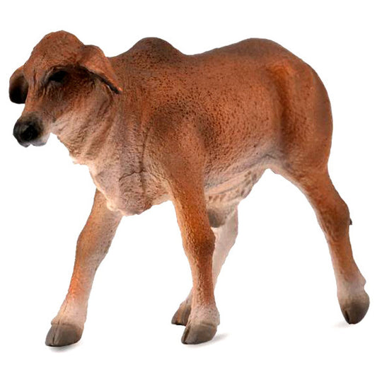 CollectA - Red Brahman Calf