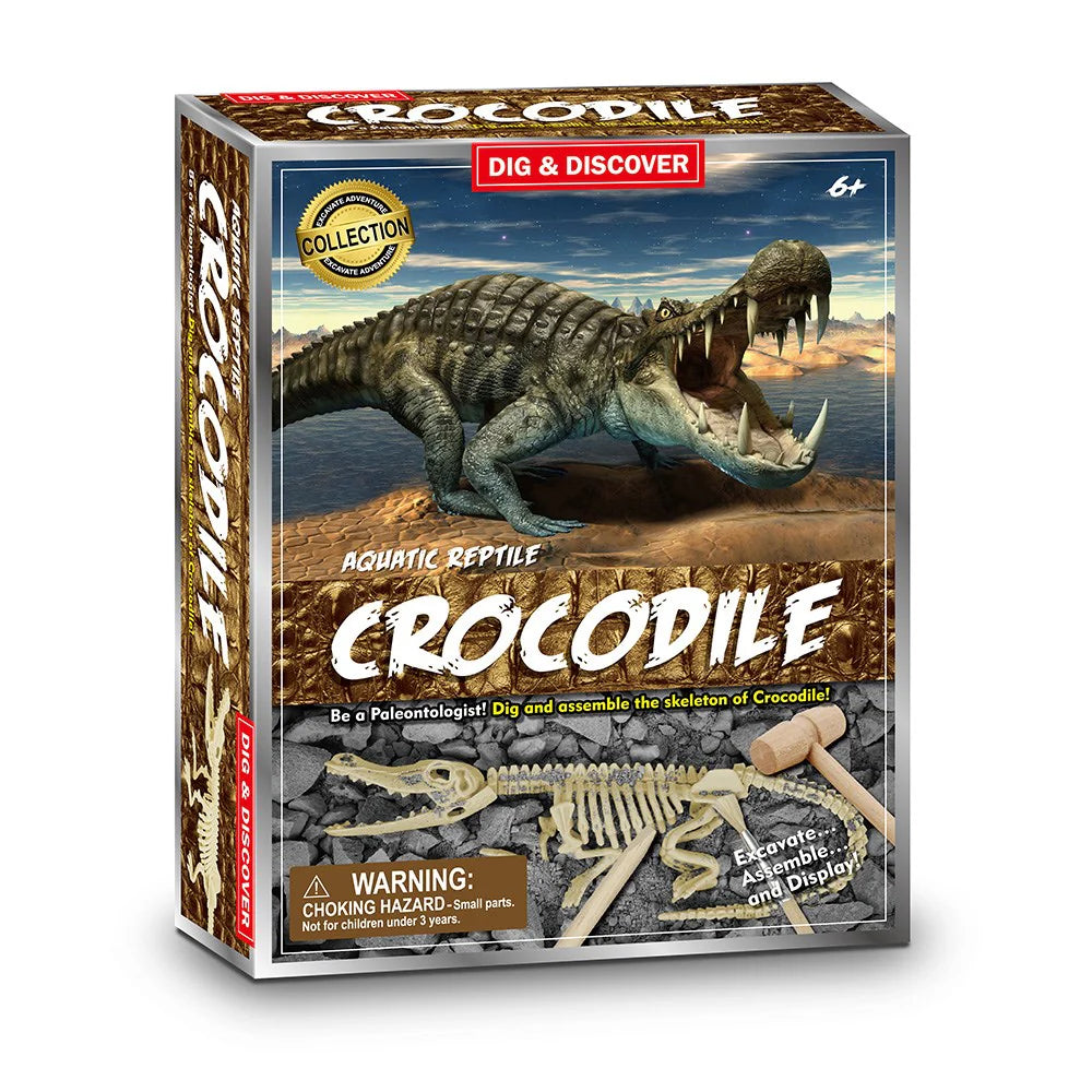 Dig & Discover:- Crocodile