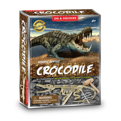 Dig & Discover:- Crocodile