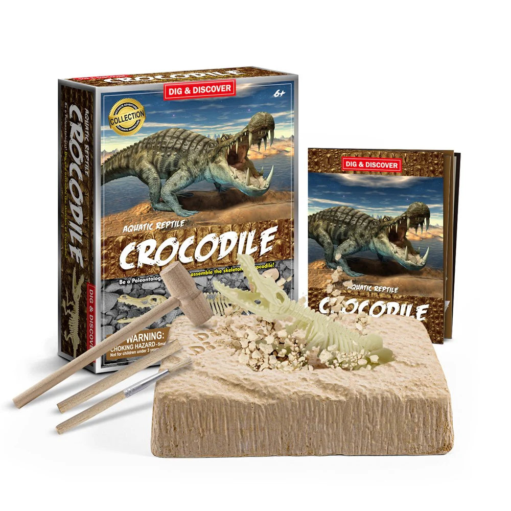 Dig & Discover:- Crocodile