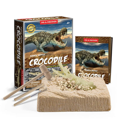 Dig & Discover:- Crocodile