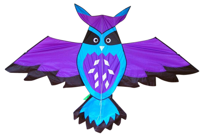 High as a Kite - Owl
