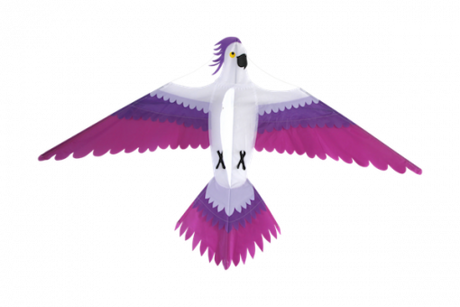 High as a Kite - Parrot