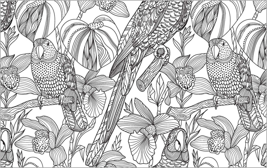 Colour Vibes - Adult Colouring Book - Nature
