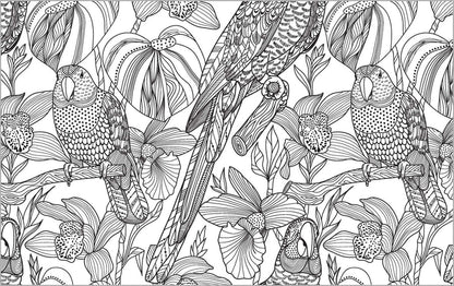 Colour Vibes - Adult Colouring Book - Nature