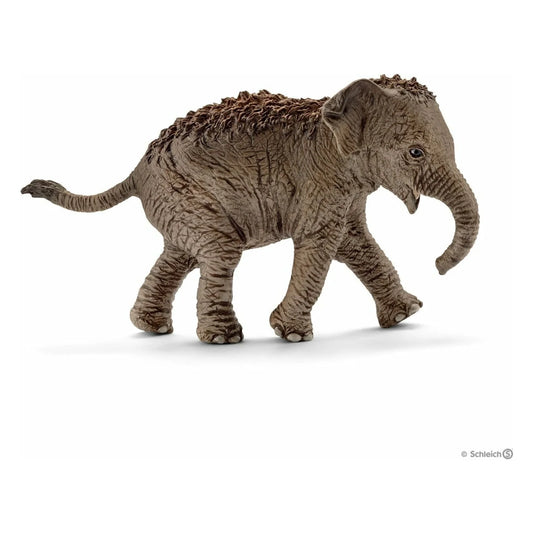 Schleich - Asian Elephant Calf 14755