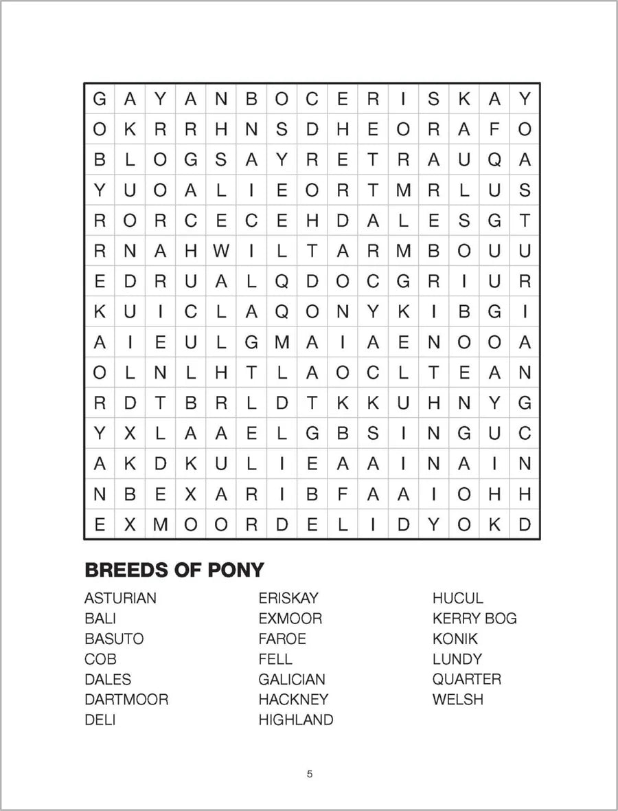 Large Print Bumper Puzzle Book - Word Search