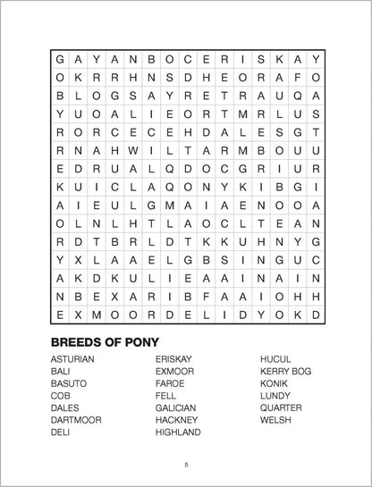 Large Print Bumper Puzzle Book - Word Search