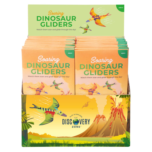 Discovery Zone Soaring Dinosaur Gliders