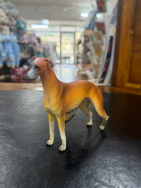Individual Animals - Dogs