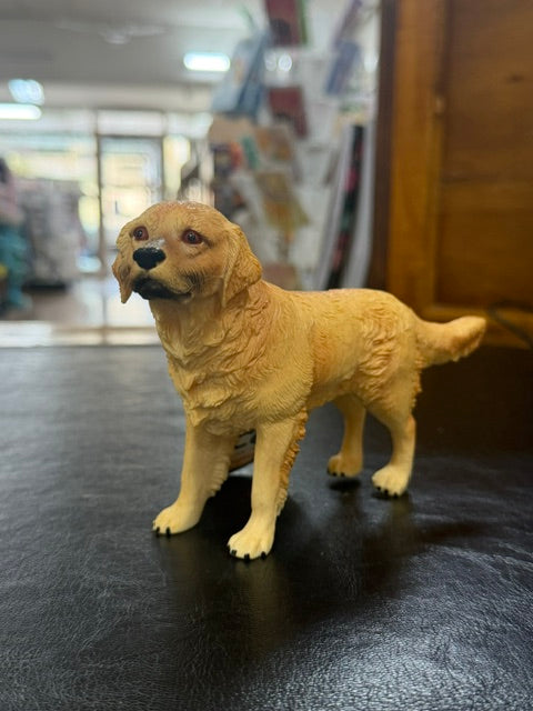 Individual Animals - Dogs