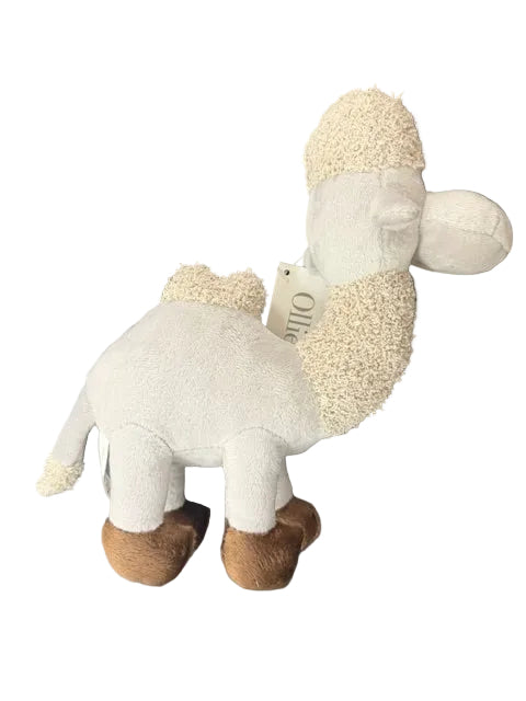 Ollie & Paige - Cam The Camel