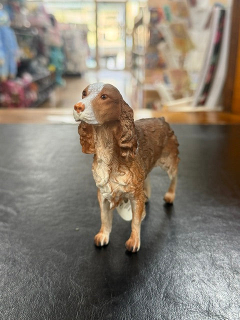 Individual Animals - Dogs